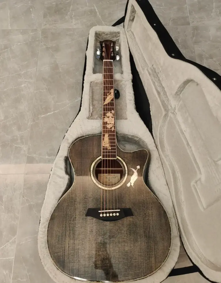 Guitare folk électro-acoustique dans son étui