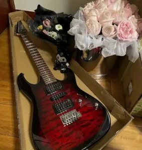 Guitares Ibanez : gammes, séries et pour quel style